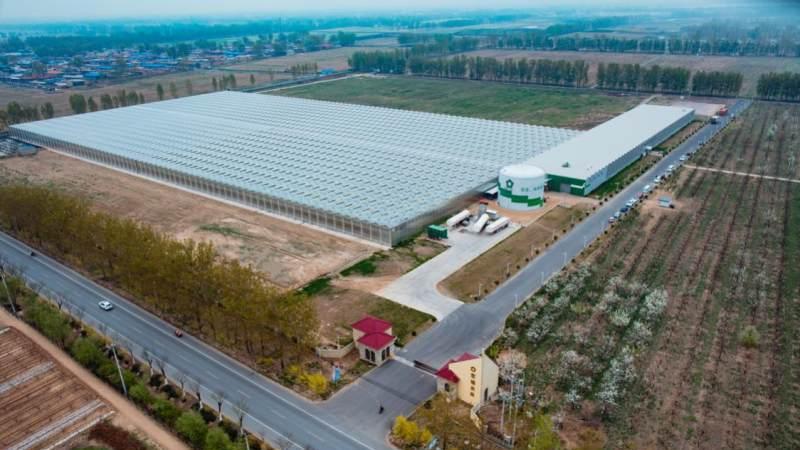 全国规模最大的智能化温室大棚——宏福现代农业产业园
