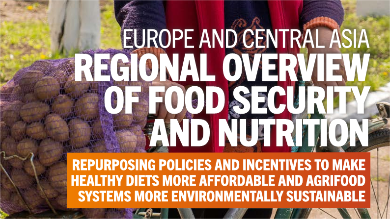 《2022年欧洲和中亚地区粮食安全和营养状况》
